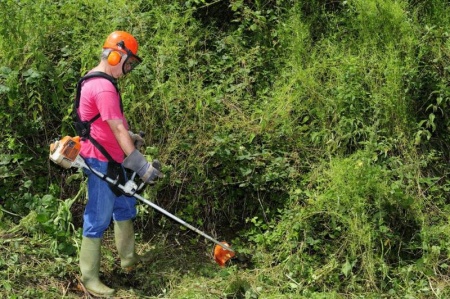 D&eacute;broussaillage &agrave; Vesoul, comment pr&eacute;parer un terrain avant travaux ?
